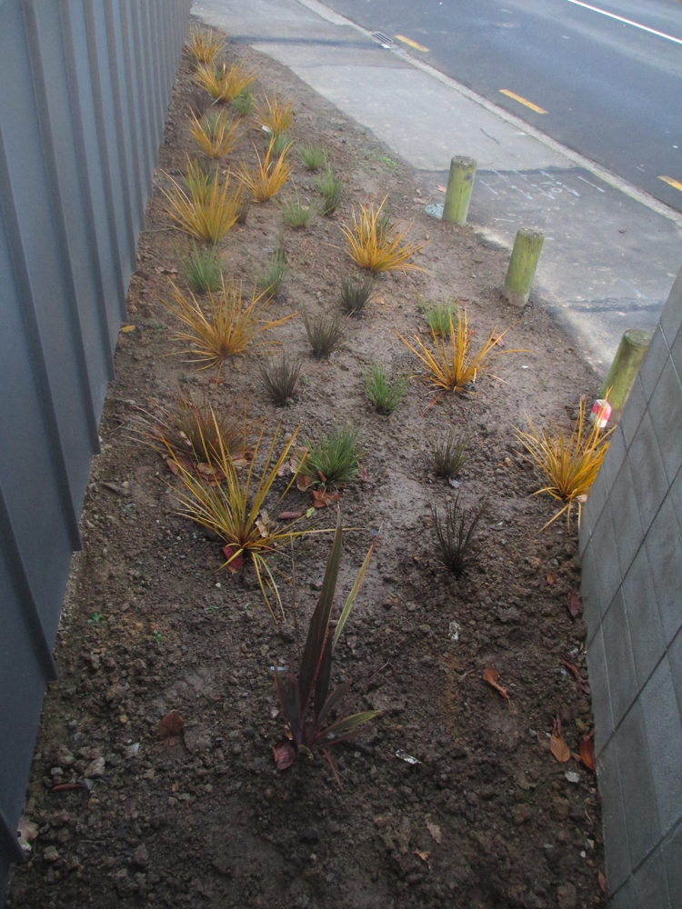 Tinakori plantings